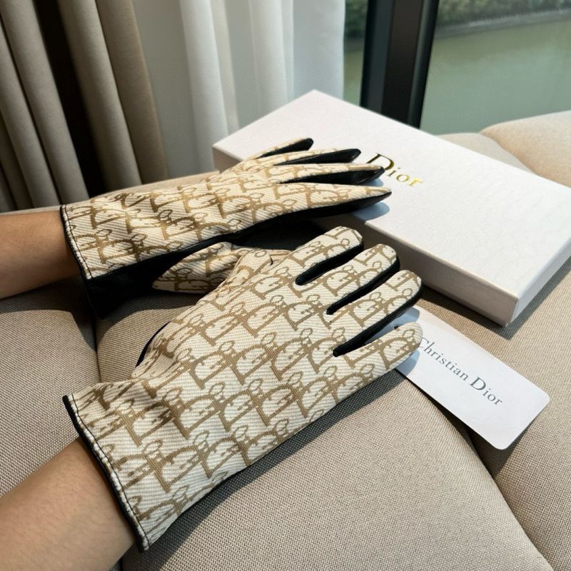 Dior Handschuhe